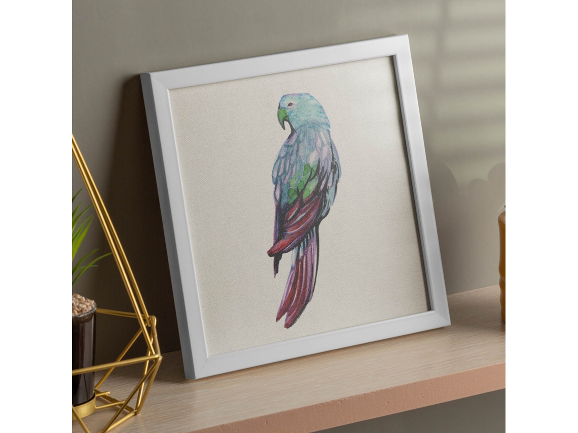 Póster NACNIC Cuadrado con Dibujos de Pã¡Jaros. Lorito Azul, Ilustrada con Dibujos de Pajaros y Periquitos.