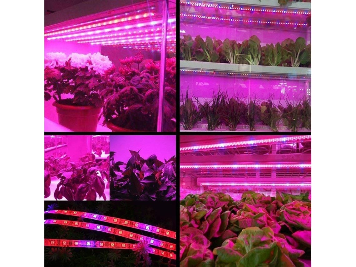 Guirnalda De Luces Led Para El Crecimiento Plantas, Smd 5050, Resistente Al Agua, Invernaderos.