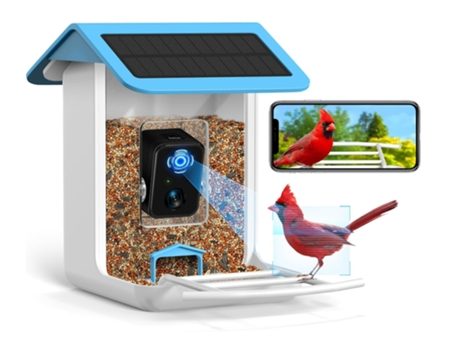 Cámara inteligente para comedero de pájaros, cámara HD 1080P, captura automática de vídeos de aves y panel solar, identificación de especies de ave...