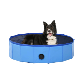 Accesorios para Perros