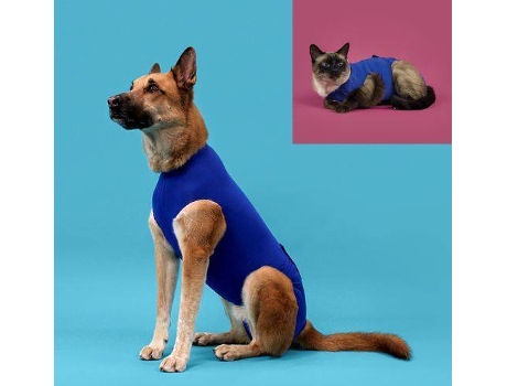 Ropa para perros