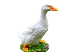 Adorno de pato de resina de simulación, estatua de pato, resistente a la intemperie, escultura de animal vívida y linda, modelo para jardín, césped, blanco M