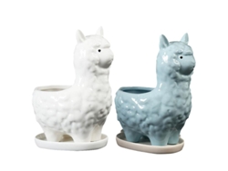 Maceta de alpaca de 2 piezas ALLINLESS