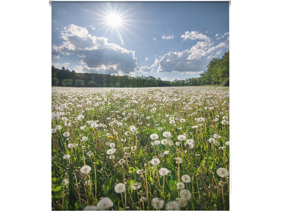 Estor Enrollable HAPPYSTOR Estampado Digital Paisajes HSCP5048 150x250 cm