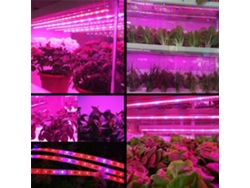 Guirnalda De Luces Led Para El Crecimiento Plantas, Smd 5050, Resistente Al Agua, Invernaderos.