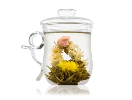Taza XGF La taza de la taza del infusor de vidrio de tetera exótica, 350 ml, colador de filtro extraíble para té suelto, taza de cristal ultra clar...
