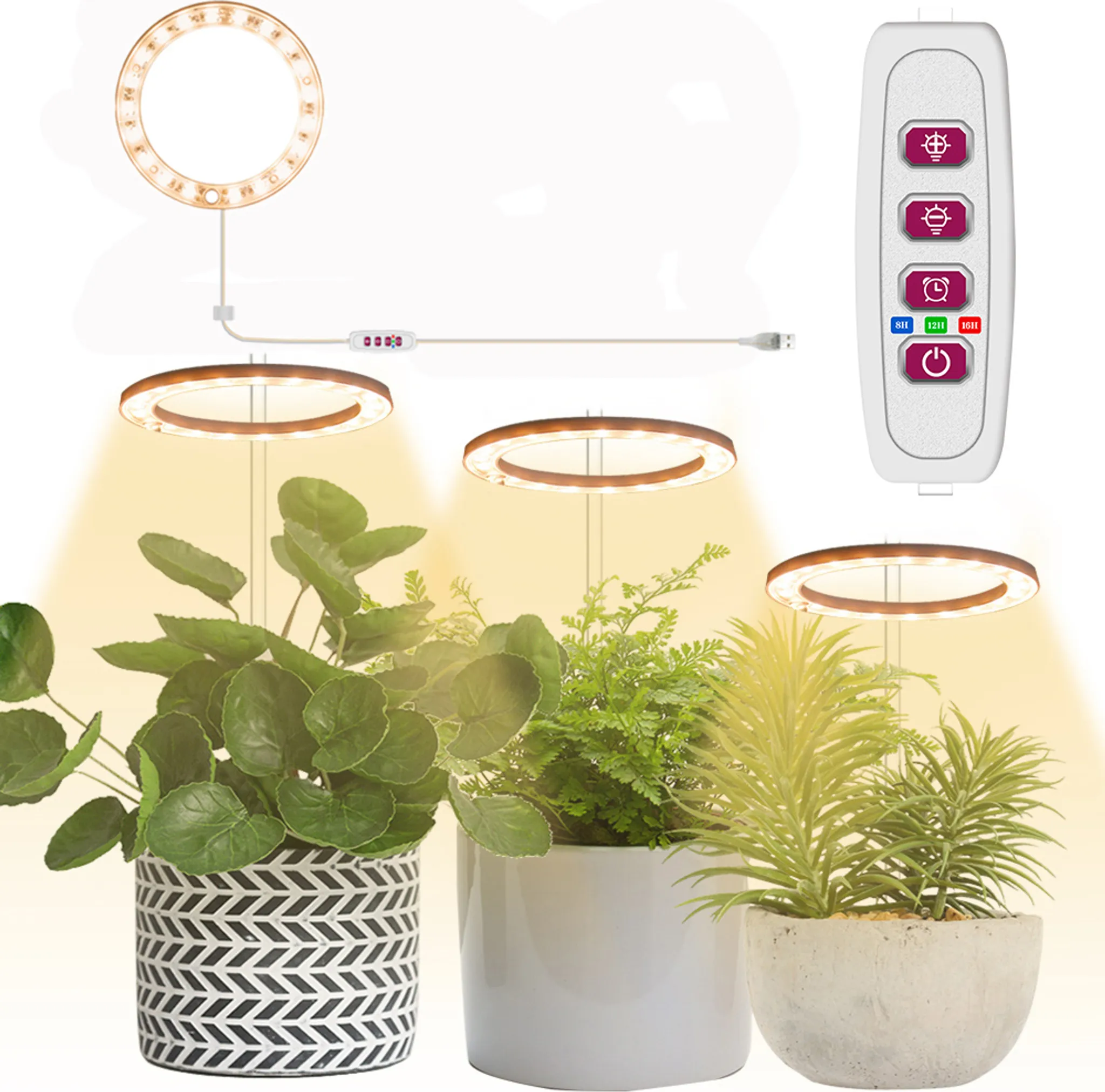 Anillo Led Cálido - Cabeza Única