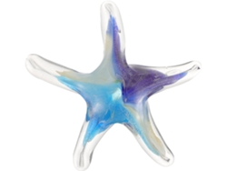 Animales marinos en miniatura, pequeña estrella de mar, cristal liso