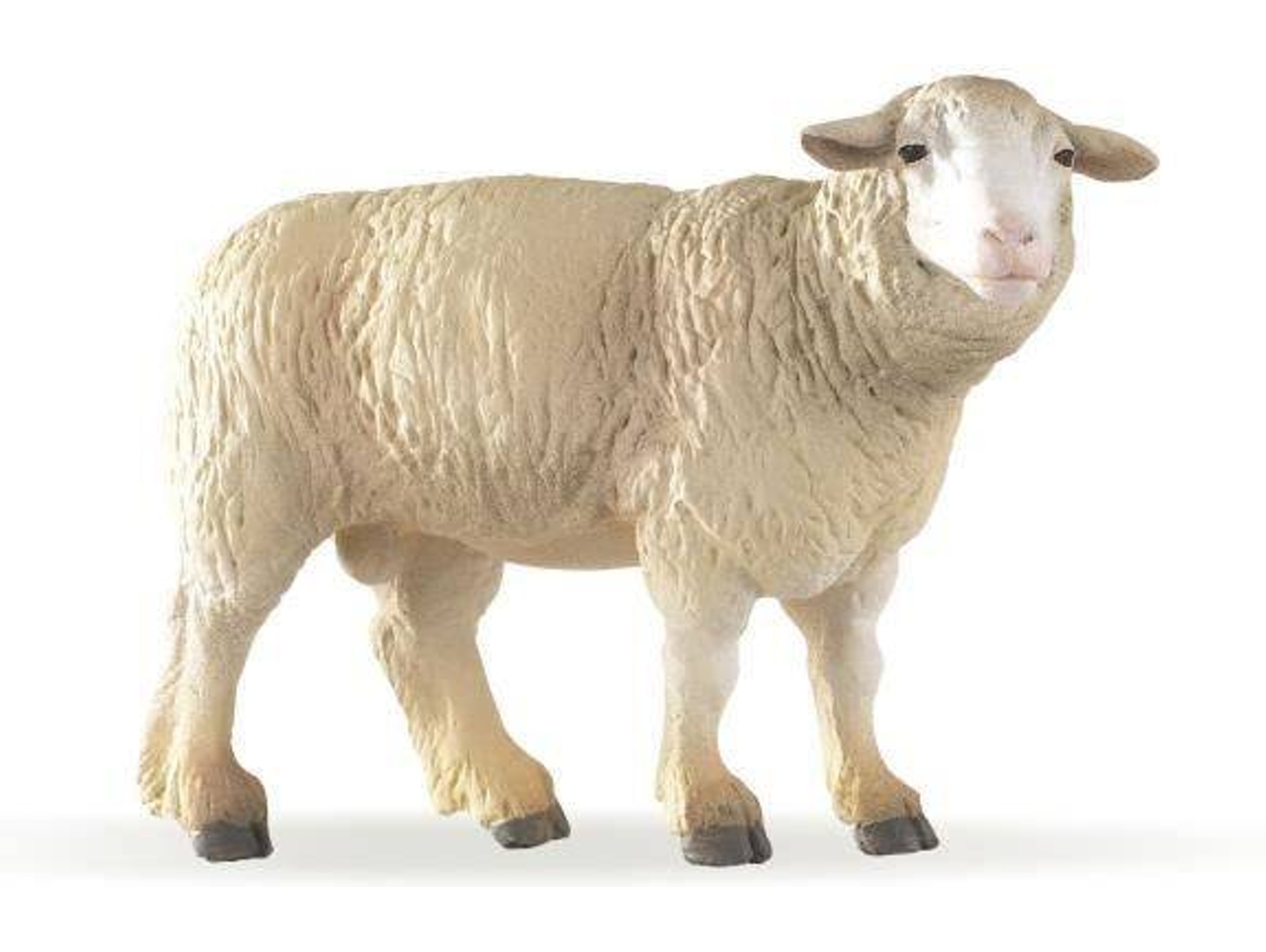 Figura PAPO Oveja