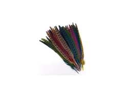Plumas De Cola De Faisán Teñidas Naturalmente Para Decoración Artesanal, 25-30 Cm.