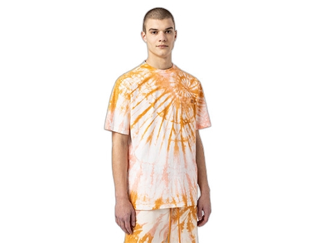 Camiseta de Hombre DICKIES Multicolor (XS)
