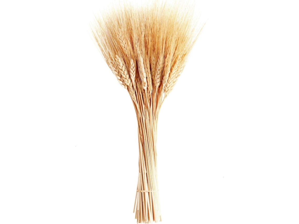GIGIKILL Espigas De Trigo Secas 100 Ramos Para Decorar Casamento Cozinha Sala De Jantar (40 Cm)