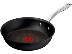 Frigidera TEFAL Excellence+ Aluminio (24 cm)