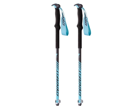 Bastón DYNAFIT Poloneses Free Vario Prateado 105-145 cm