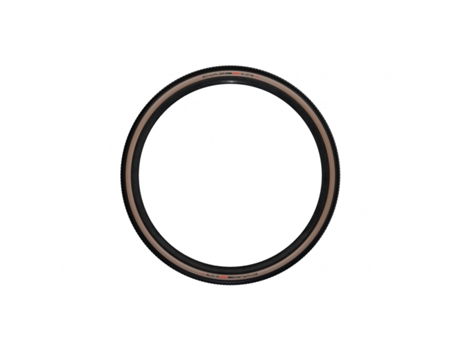 Neumático SCHWALBE G-onr Evo V-g S.race Tle