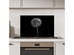 Panel Antisalpicaduras Cocina Diente De León - Negro - Floral - Botánico 70x50 Cm