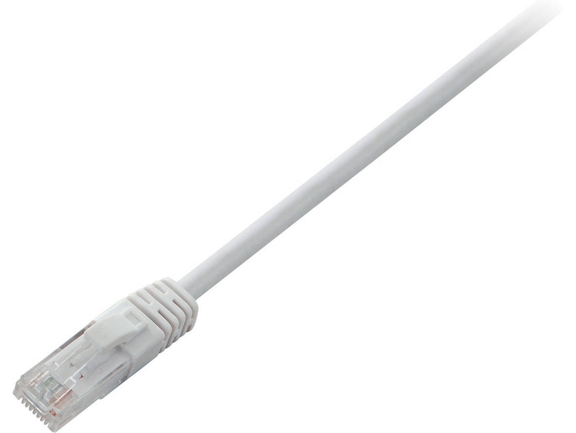 Cable de Red V7 (RJ45 - 2 m - Blanco)