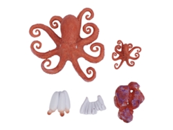 Set De 5 Figuras De Pulpo, Juguete Educativo, Ciclo De Vida De Animales Marinos, Pvc