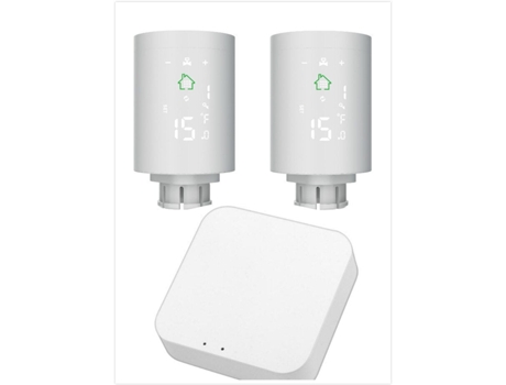 Termostato Programable SLOWMOOSE Mini Radiador Inteligente Gravado