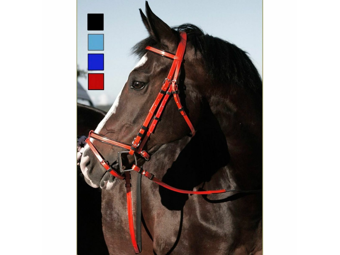 Bridas para caballos en pvc con riendas de goma Daslö