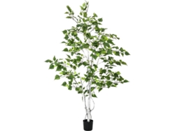 Planta Artificial EUROPALMS Birch (Verde - 150 cm)