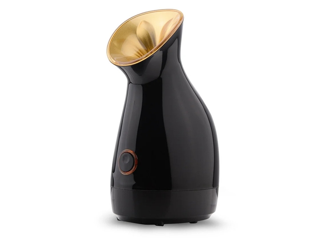 Vaporizador facial de iones nano, limpieza profunda, desobstruye los poros, adecuado para mujeres y hombres, hidratación Bestvite