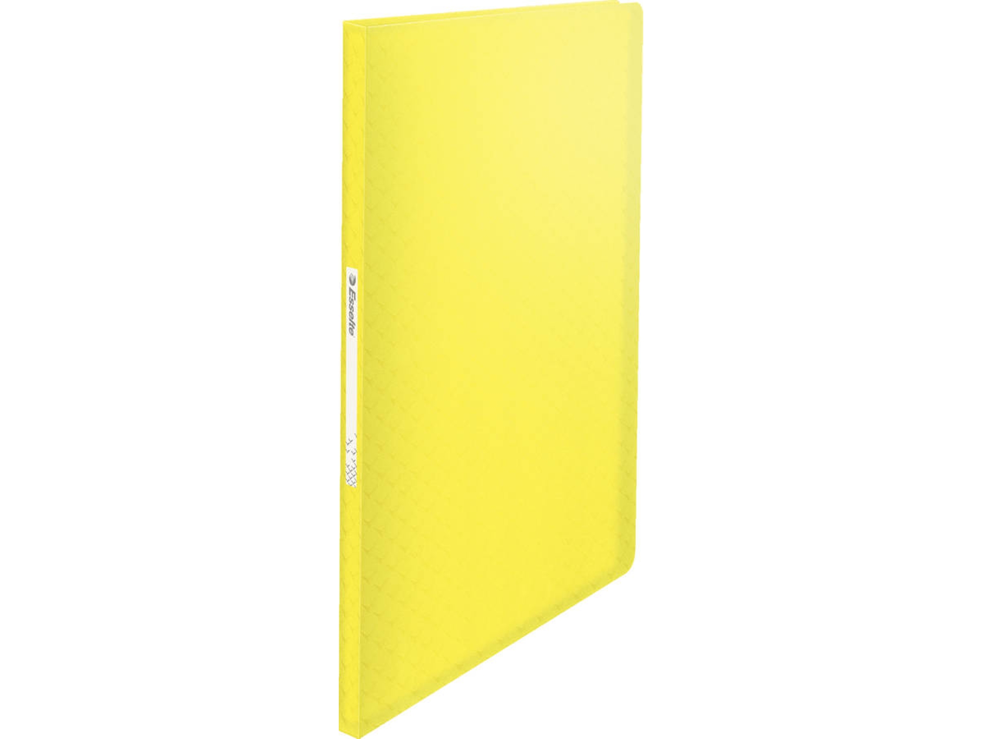 Carpeta ESSELTE 626225 (A4 - 23,3 x 31 cm)