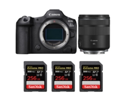 Canon Eos R5 Mark Ii + Rf 85mm F/2 Macro Is Stm + 3 Sandisk 256gb Uhs-ii 300mb/s + Ebook “20 Consejos Para Fotos Que Impactan”