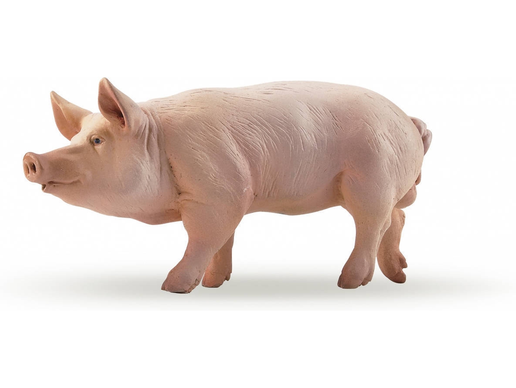 Figura PAPO Porco