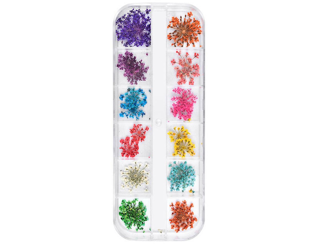 Pegatinas de uñas con flores secas para manualidades