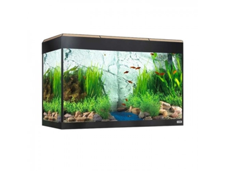 FLUVAL Roma Bluetooth Led Aquário 125L Carvalho
