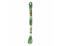 Hilo de Bordar DMC Mouline 117Mc Verde 320