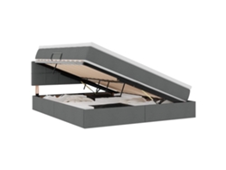 Maison Exclusive - Cama Con Almacenamiento Y Led Gris Oscuro 160 X 200 Cm Tela