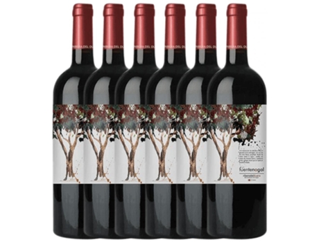 Vino SOLTERRA Solterra Fuente Nogal Tempranillo Ribera Del Duero Joven (0.75 L - 6 unidades)