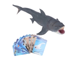 Rebe-modelo De Animales Marinos Figura Simulada Colección De Juguetes Regalo De Cumpleaños Para Niños