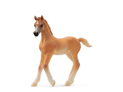 Figura Potro Arabe SCHLEICH