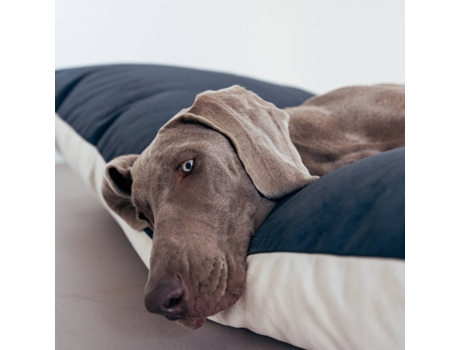 Cama para Perros THE HAPPY NEST Azul (65 x 85 cm)