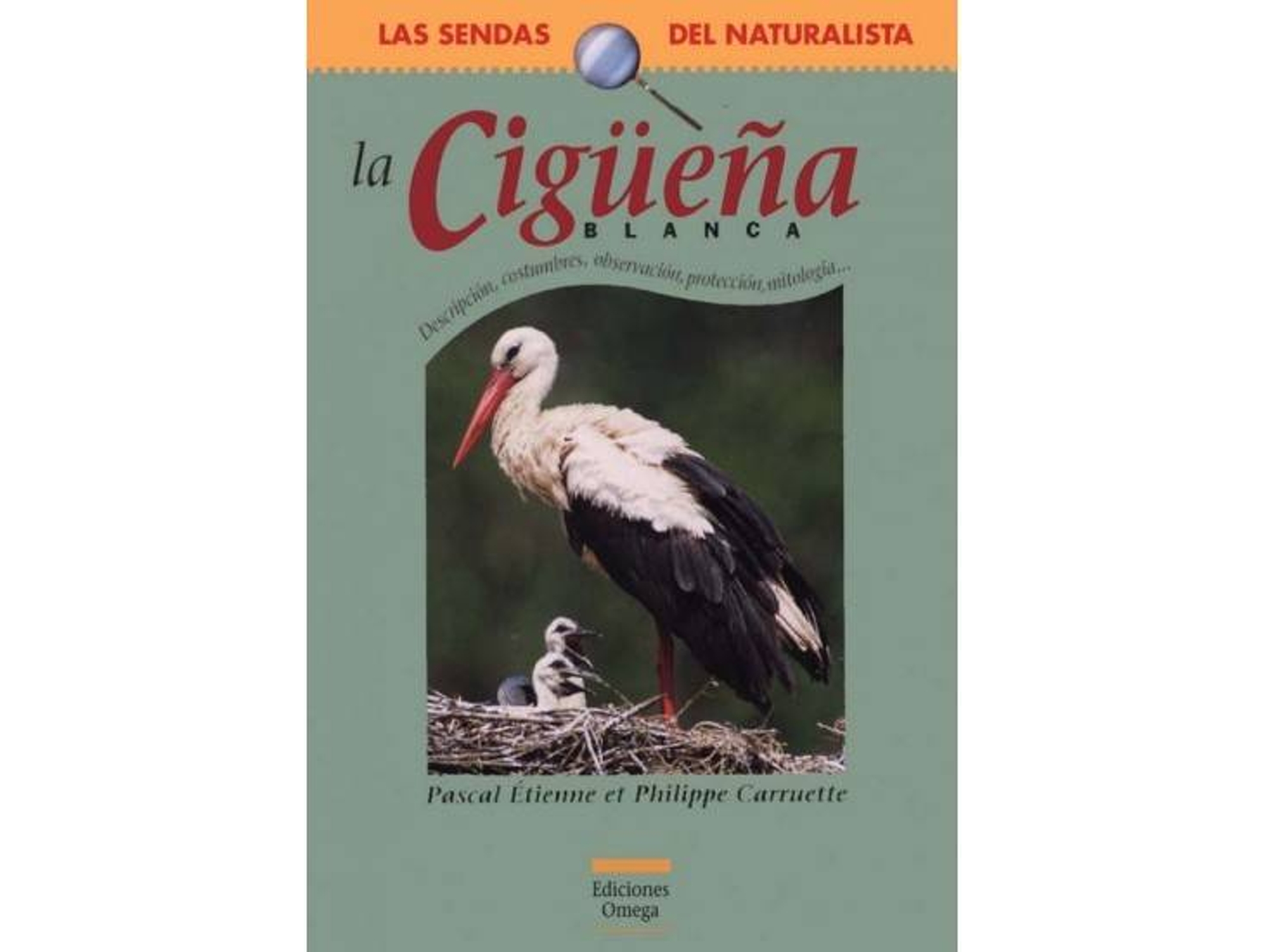 Libro La Cigüeña Blanca de Pascal Etienne (Español)