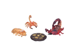 Kit educativo sobre el ciclo de vida del escorpión: juguetes sobre las etapas de los insectos para niños.