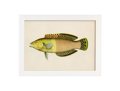 Póster NACNIC de Pez Amarillo, Verde y Beige en , Fondo Papel Vintage.