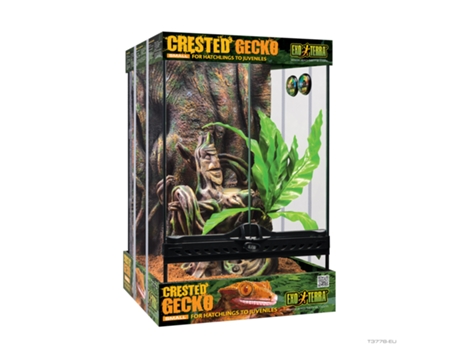 Kit inicio terrario para Gecko Crestado EXO TERRA, S, 30x30x45cm