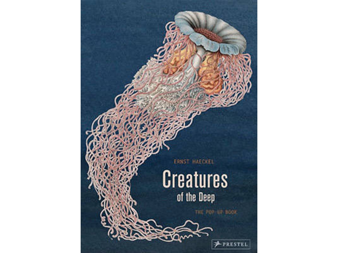 Libro Creatures Of The Deep: The Pop-Up Book de Ernst Haeckel And Maike Biedersta¨Dt (Inglés - 2016)