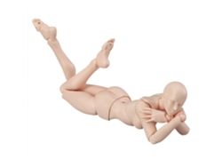 2026-modelos Articulados De Maniquíes Cuerpo Humano Figuras De Acción Móviles Pvc Regalos