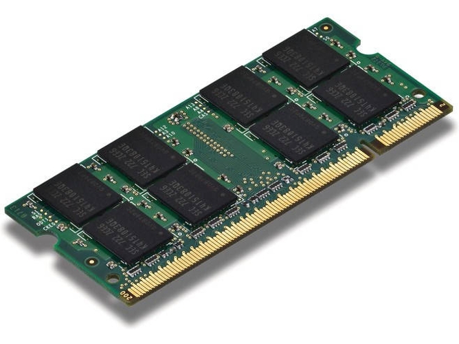 Memoria RAM DDR3 FUJITSU S26391-F1352-L800 (1 x 8 GB - 1600 MHz - Verde)