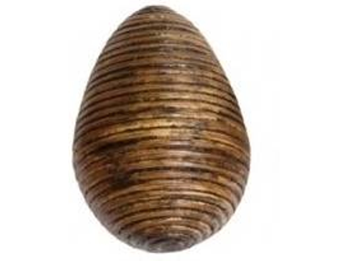 Shaker TERRE Rattan (6 cm)