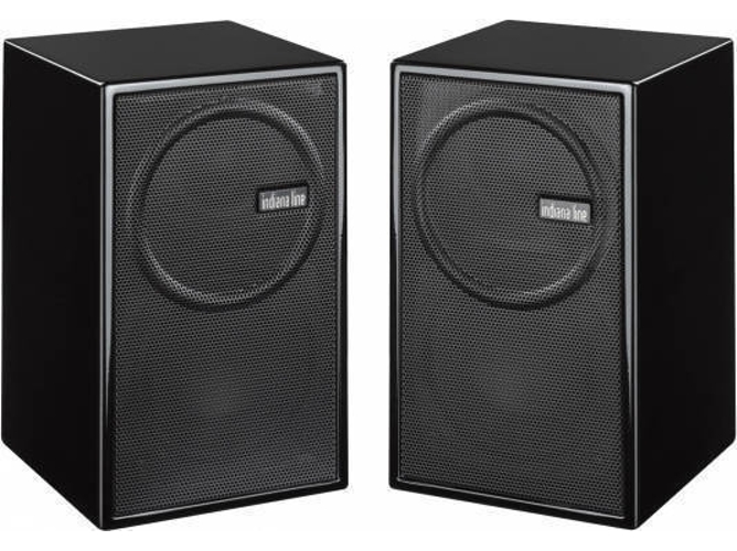 Altavoz SKYTEC 100.020