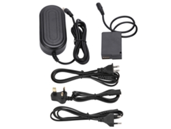 Conjunto De Batería Falsa Dmwdcc8 Decodificada Con Adaptador De Corriente Ac Para Sigma Fp