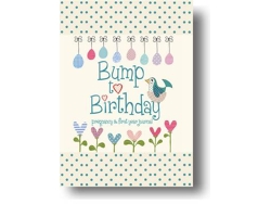 Libro Bump to Birthday, Pregnancy amp First Year Journal de Helen Stephens (Inglés)