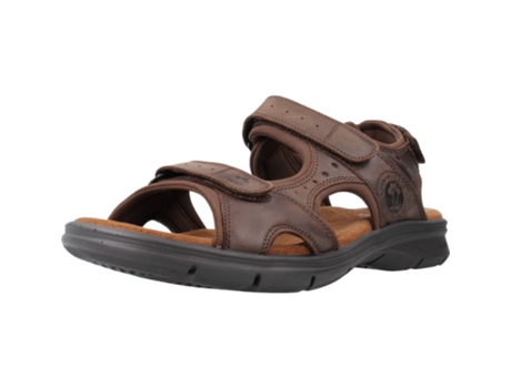Zapatos de Hombre PANAMA JACK Salton Basics Piel Marrón (44)