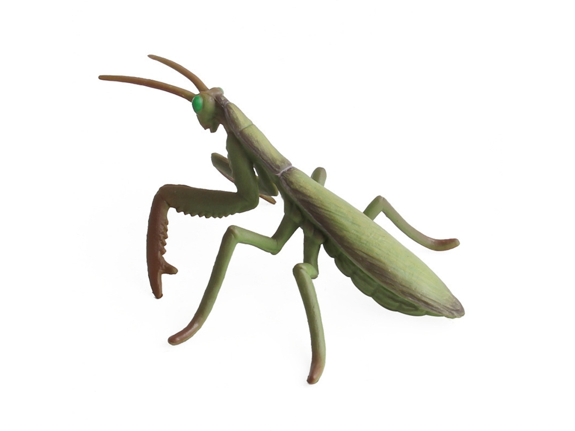 Juguete De Modelo De Insectos Y Animales De Plástico Para Niños Simulación Educativa (6)